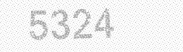 Visual security code — type the characters shown in the image
